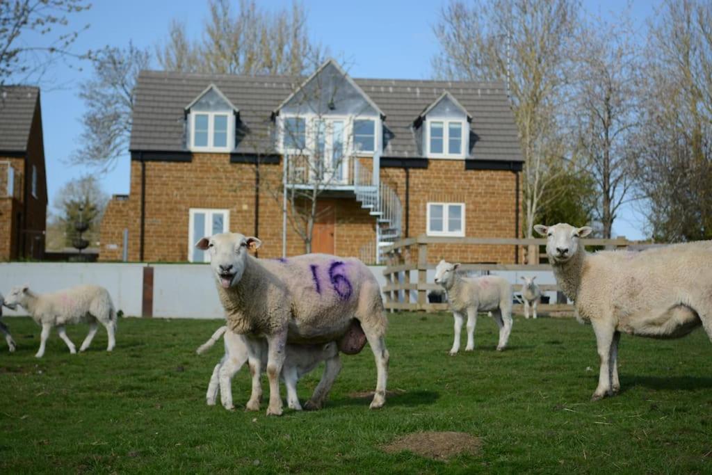 Holiday home Field View Braunston (Rutland)